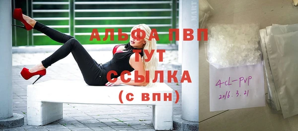 спайс Бородино