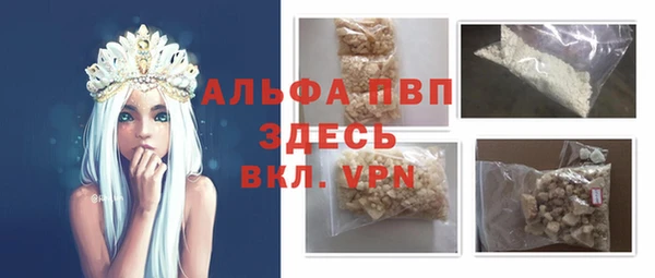 PSILOCYBIN Бронницы