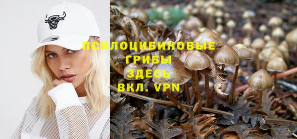 спайс Бородино