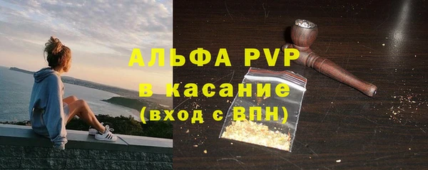 спайс Бородино