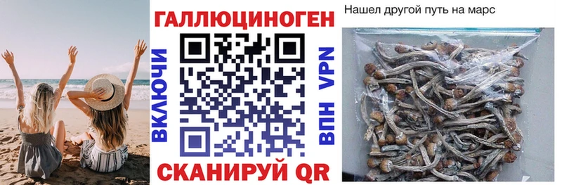 Псилоцибиновые грибы GOLDEN TEACHER  Дятьково 