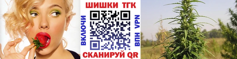 Бошки Шишки Amnesia  Дятьково 